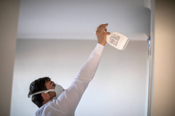 Best Residential Mold Removal  in Hiawatha, KS