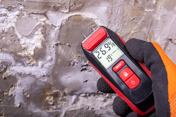 Best Black Mold Removal  in Hiawatha, KS